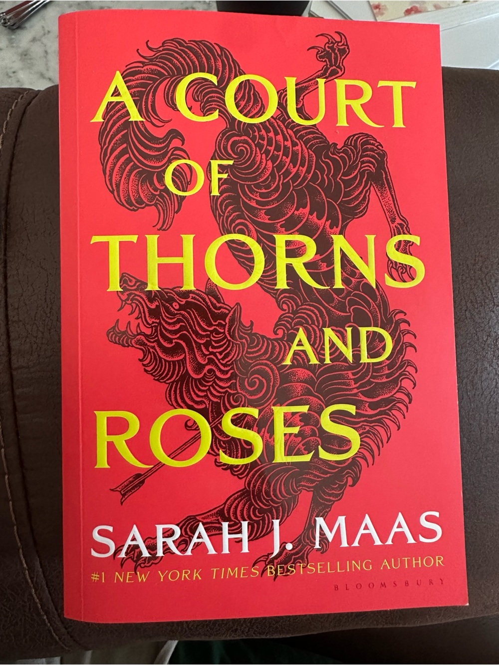 A Court of Thorns and Roses by Sarah J. Maas